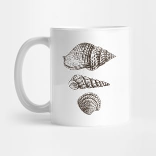 Shell - Sea Shells Vintage Image Mug